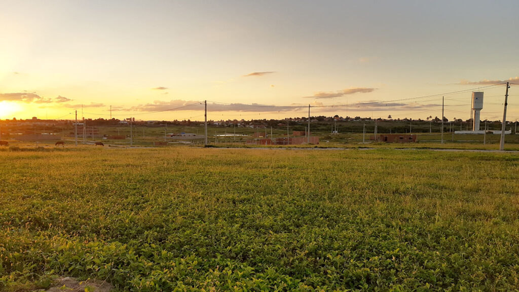 vista4